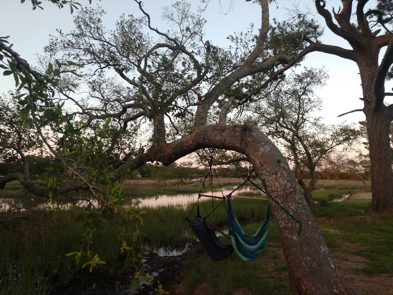Ollies Creek Nature Haven
