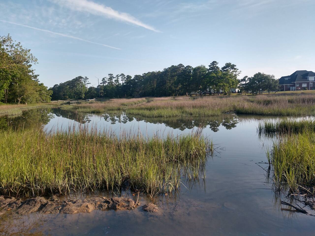 Ollies Creek Nature Haven
