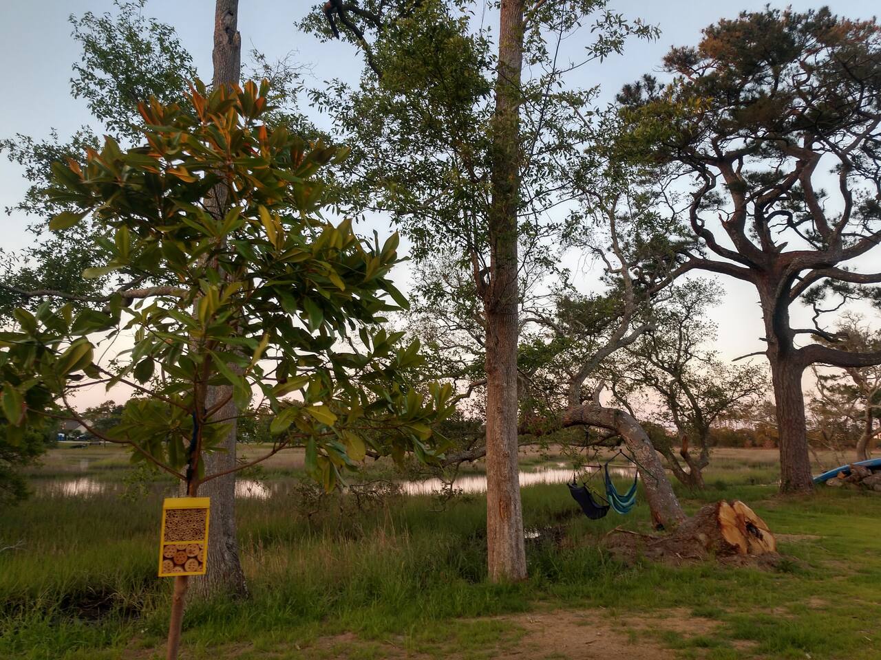 Ollies Creek Nature Haven