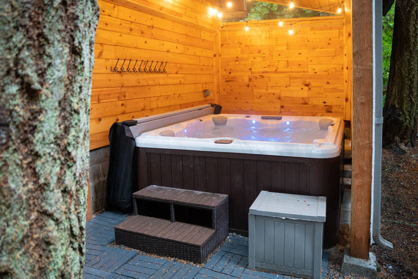 Mt. Rainier Getaway