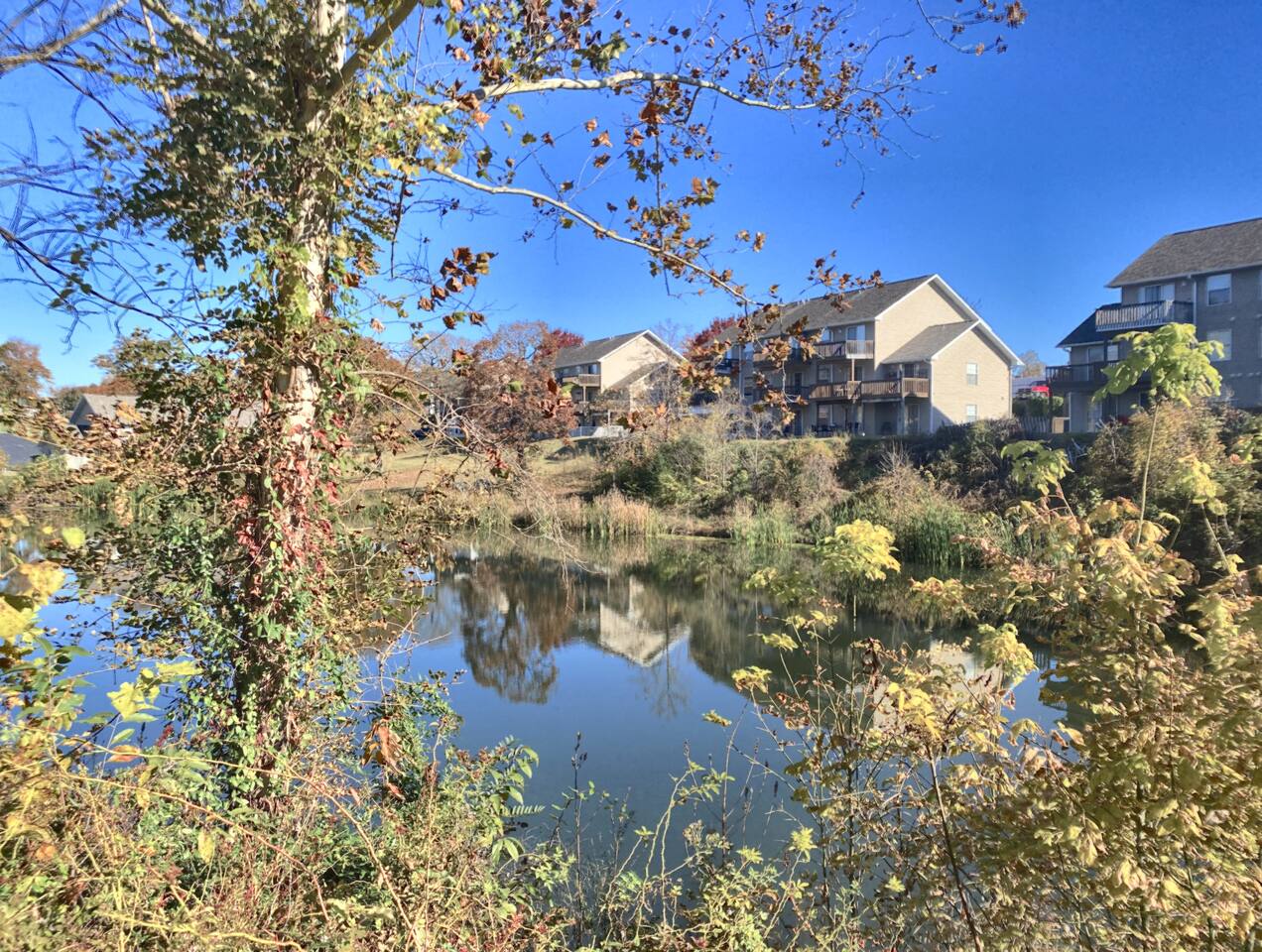 Large w Pond View, Lake Access, Fishing & Sunroom