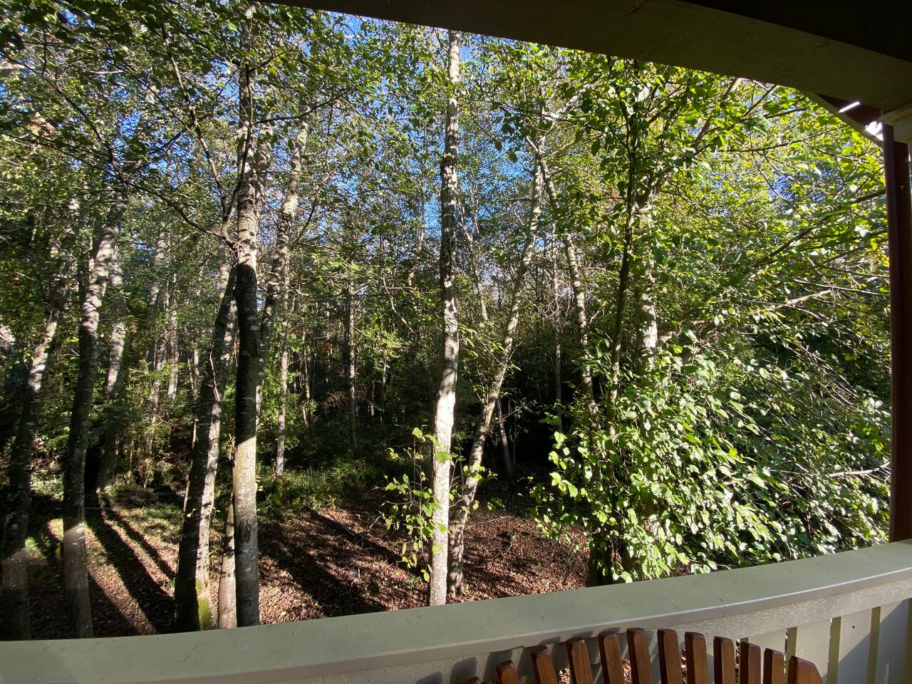 Luxurious Home w/Hot Tub, 5 minute walk to town
