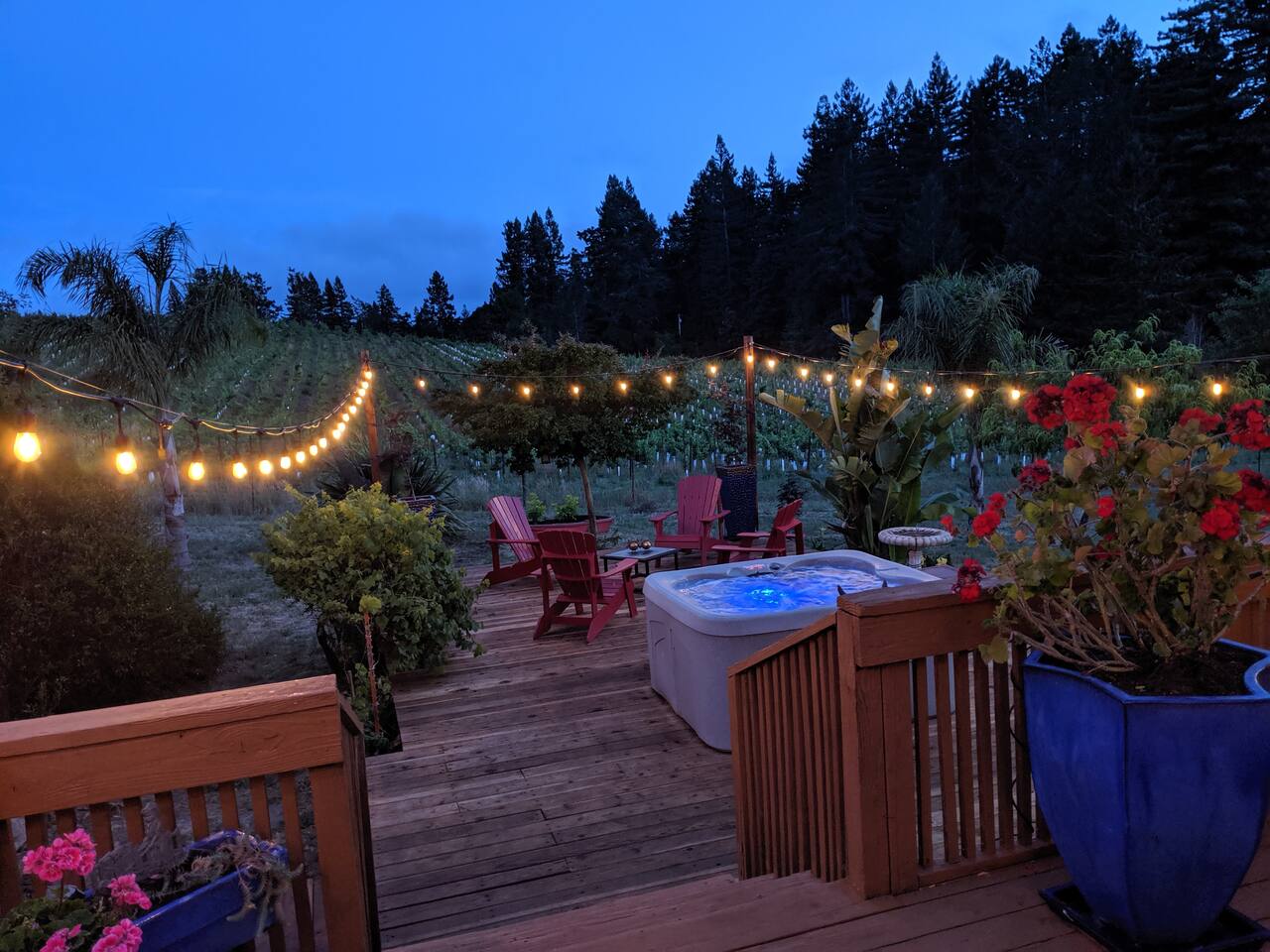 Sonoma County Historical Ranch House on a Vineyard