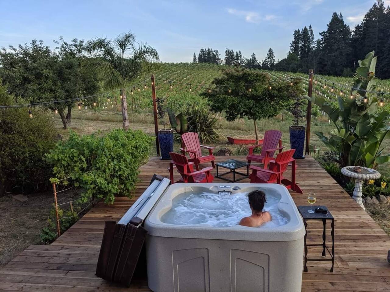 Sonoma County Historical Ranch House on a Vineyard