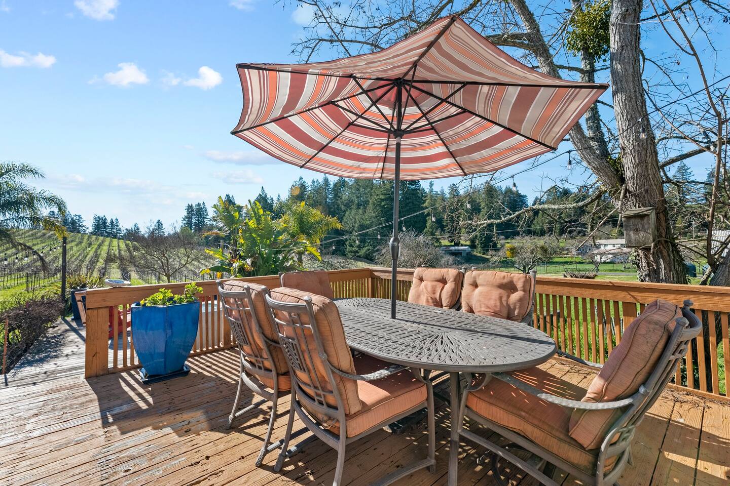 Sonoma County Historical Ranch House on a Vineyard