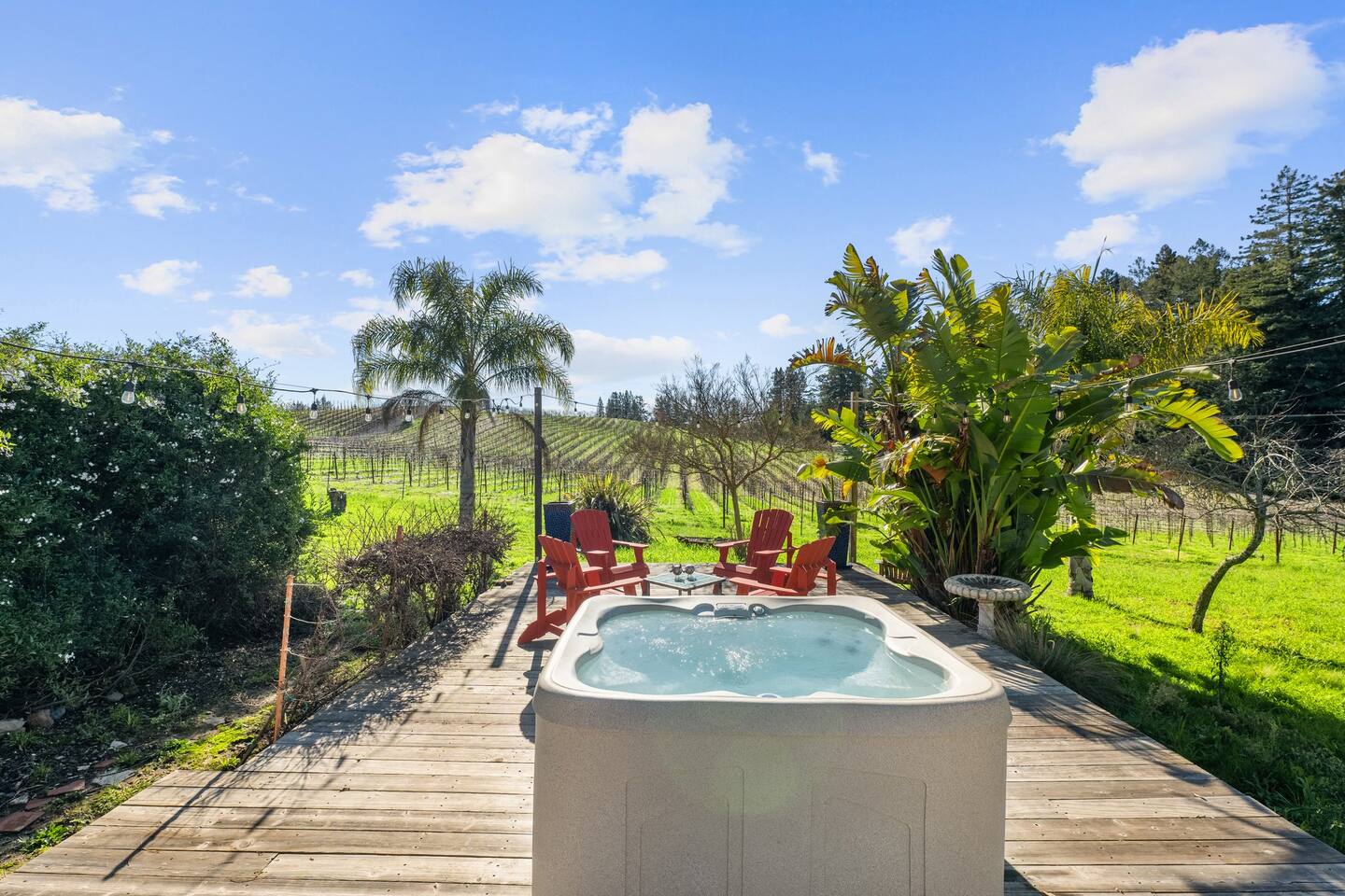 Sonoma County Historical Ranch House on a Vineyard — Sebastopol — vacation rental