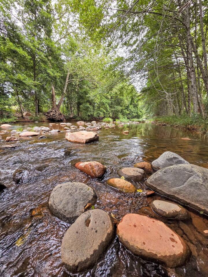 Hike Cathedral Rock and then cool off in Oak Creek!