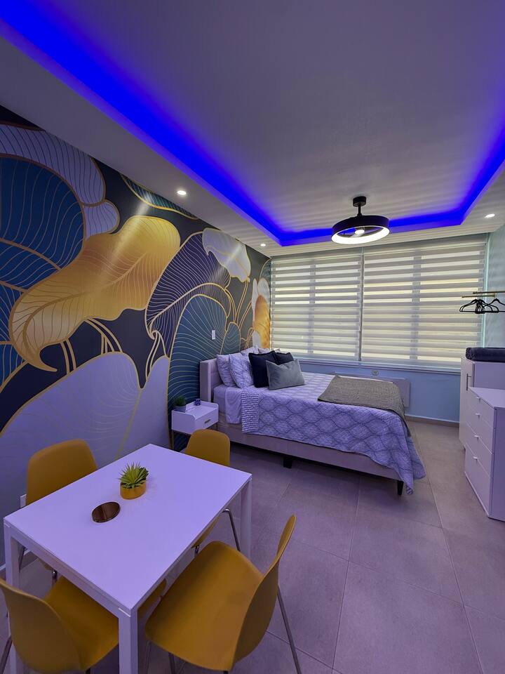 Heart of Condado: Remodeled Studio Walk to Beach