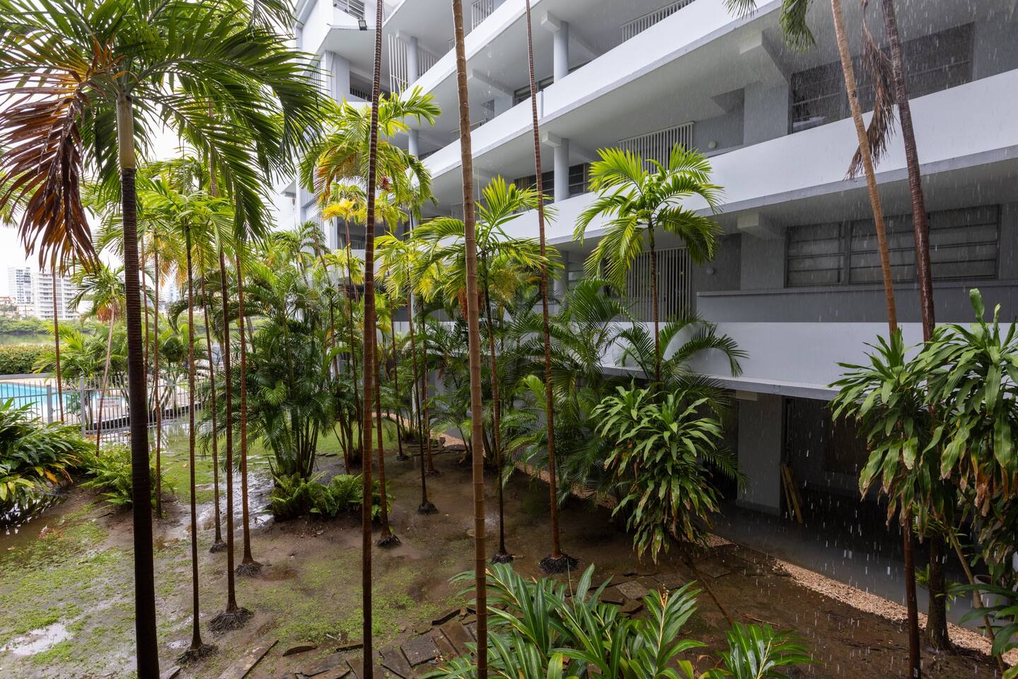 4th floor Studio:Pool & Lagoon in Condado!