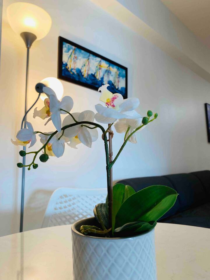 Steps To Beach Studio in Condado w/Pool&Ac