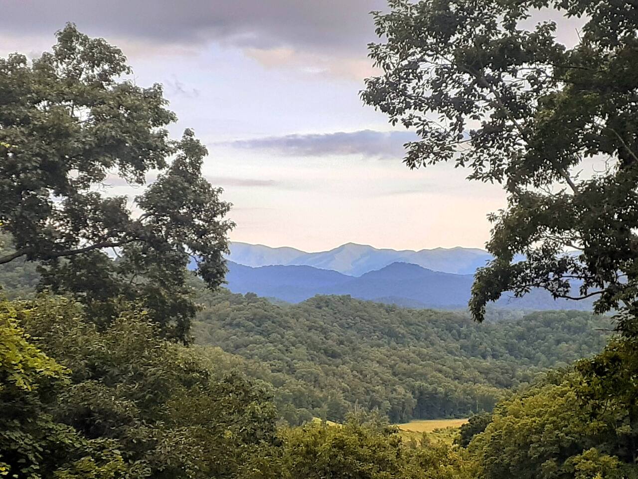 Treetops Cabin easy to Asheville with fast wifi and great view