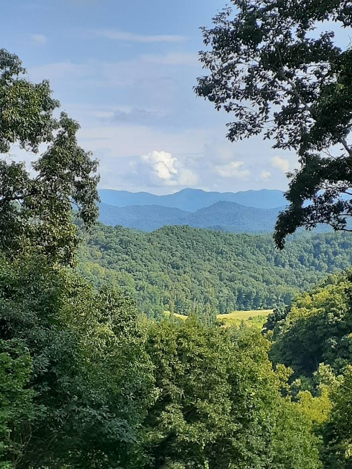 Treetops Cabin easy to Asheville with fast wifi and great view