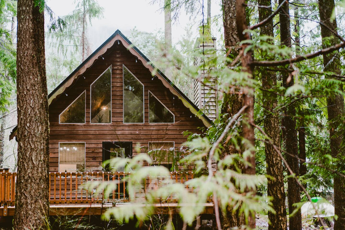 Little wolf cabin King bed dog friendly Mt Baker