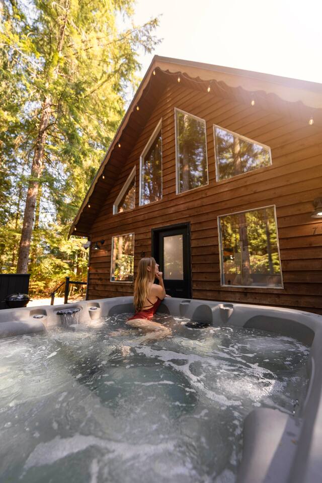 Little wolf cabin King bed dog friendly Mt Baker