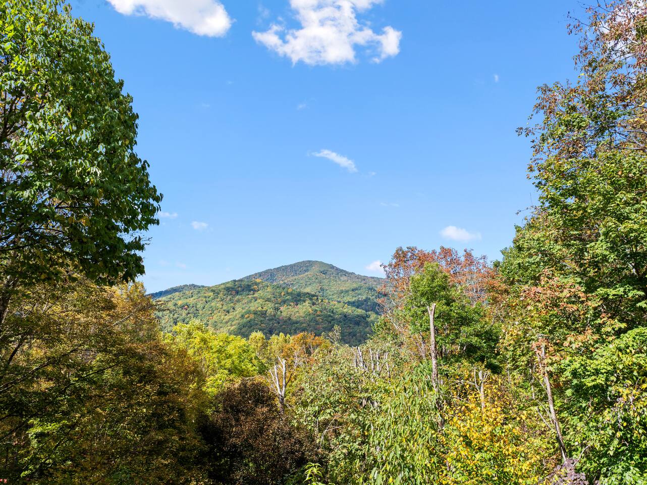 Bella Vita/3 bedroom-2 bath/1-Level/King beds/Pets Allowed/5 star Reviews