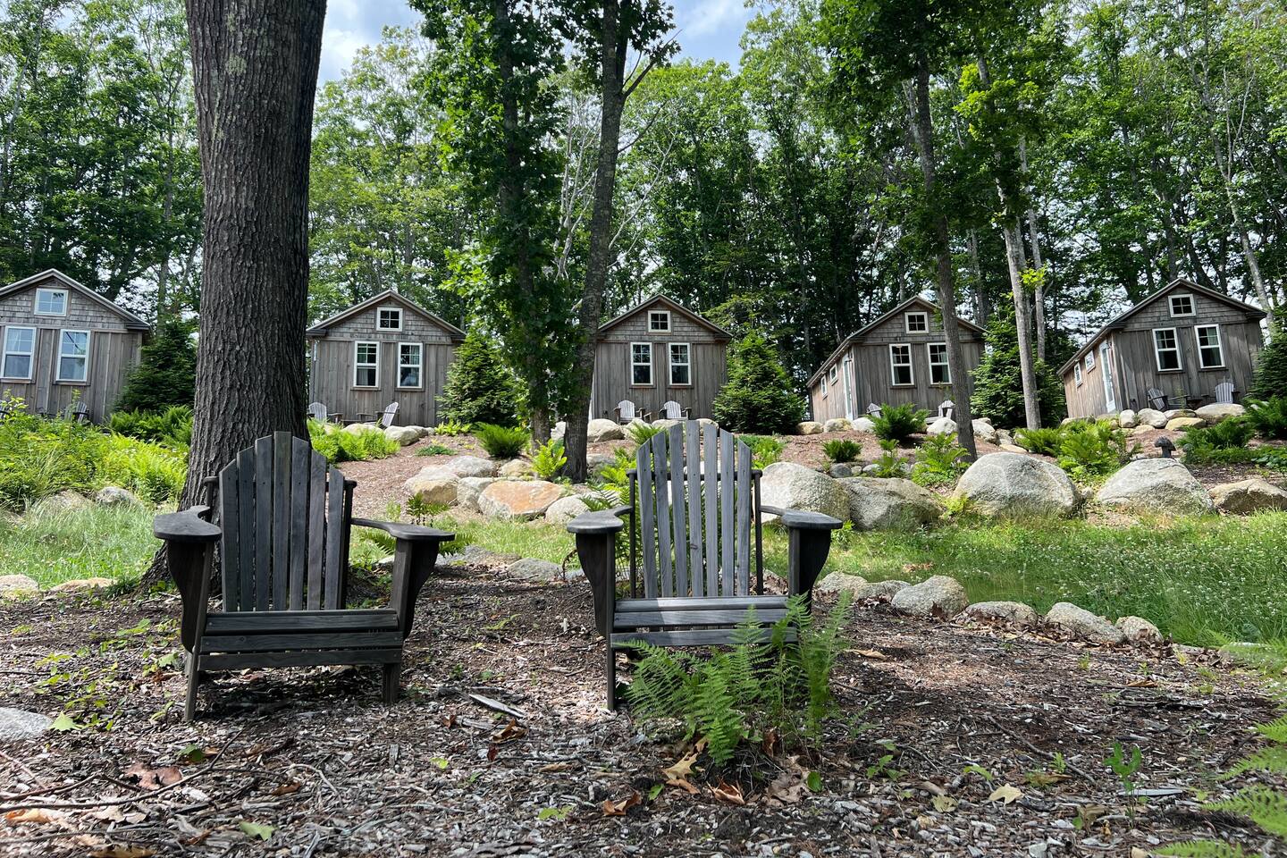 Unwind in Nature Cabin #4 • Beach • Cedar Sauna