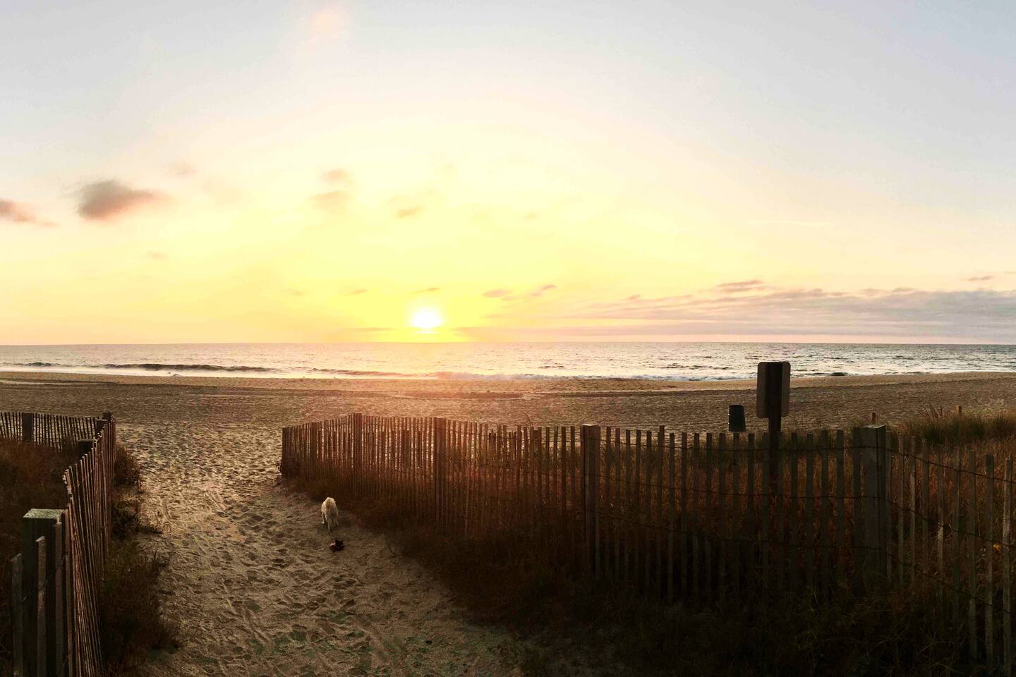 🌊 NOTHING BEATS OCEANFRONT!!! 🌊
