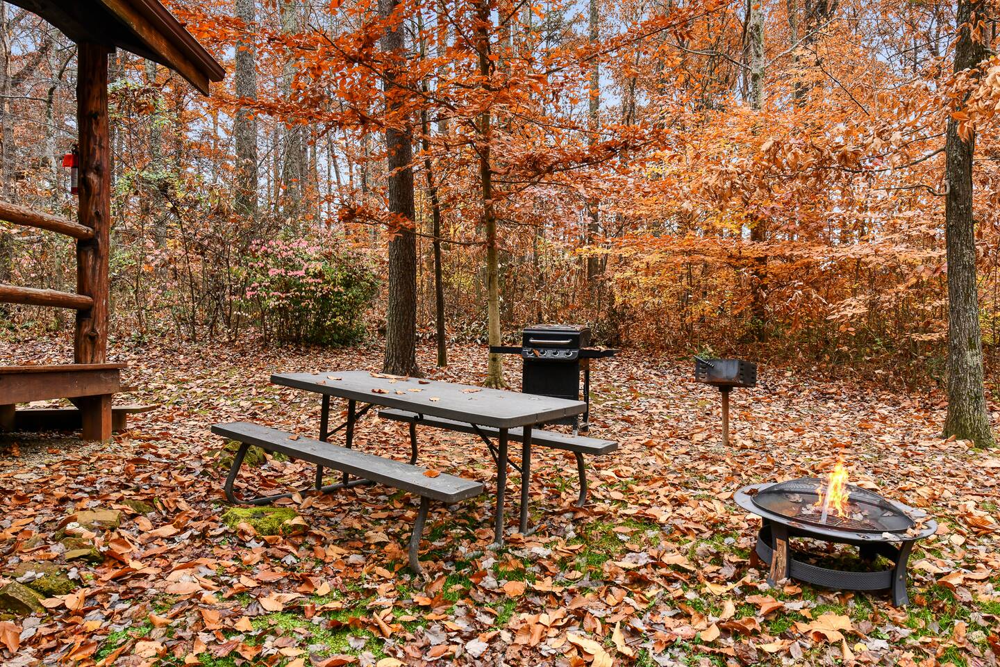 Charming 2Bed Cabin in the HEART of Hocking Hills!
