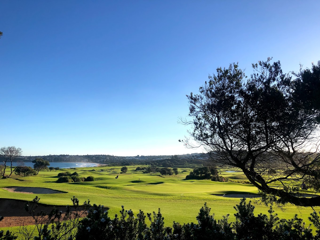 Executive 1 bed opposite Long Reef Golf Course