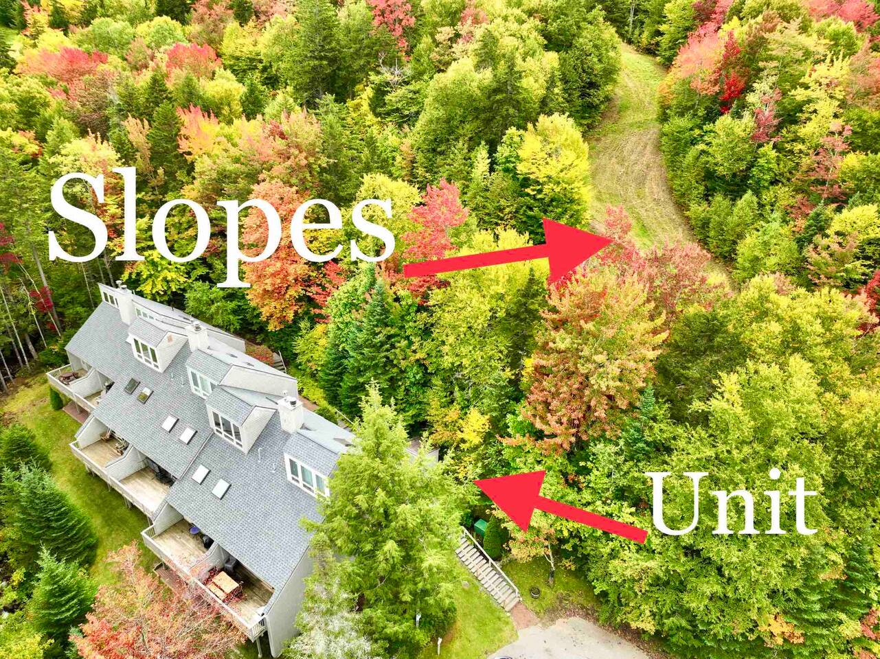 SKI in SKI OUT 5 Bedroom Pools passes 1 gig wifi — Bretton Woods — vacation rental