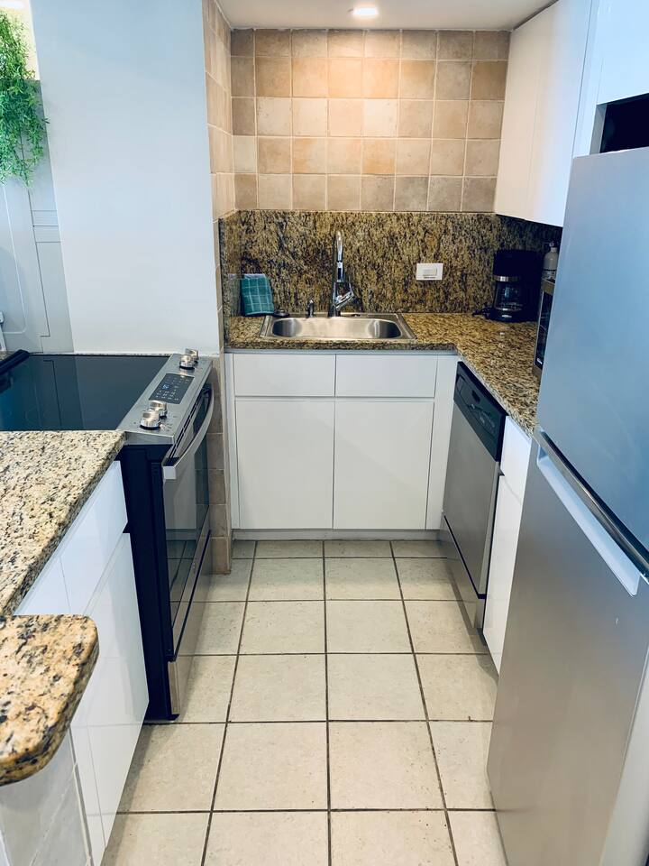 Island Escape-Directly on Isla Verde Beach